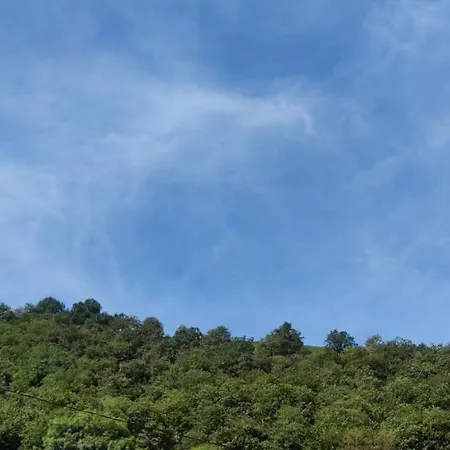 Angel Arenas De Cabrales *