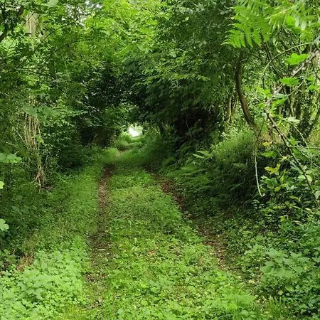 Дом отдыха Angel