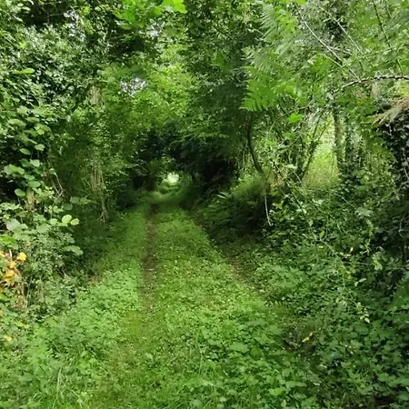 Angel * Ингуансо