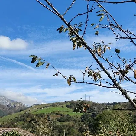 Angel Дом отдыха