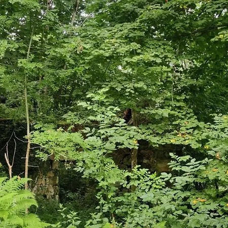 Angel * Ингуансо