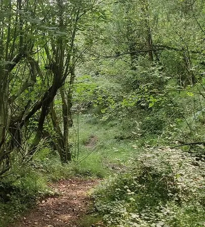 Дом отдыха Angel