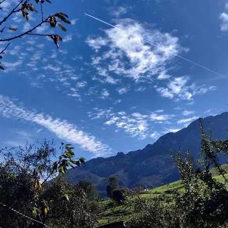 Дом отдыха Angel *